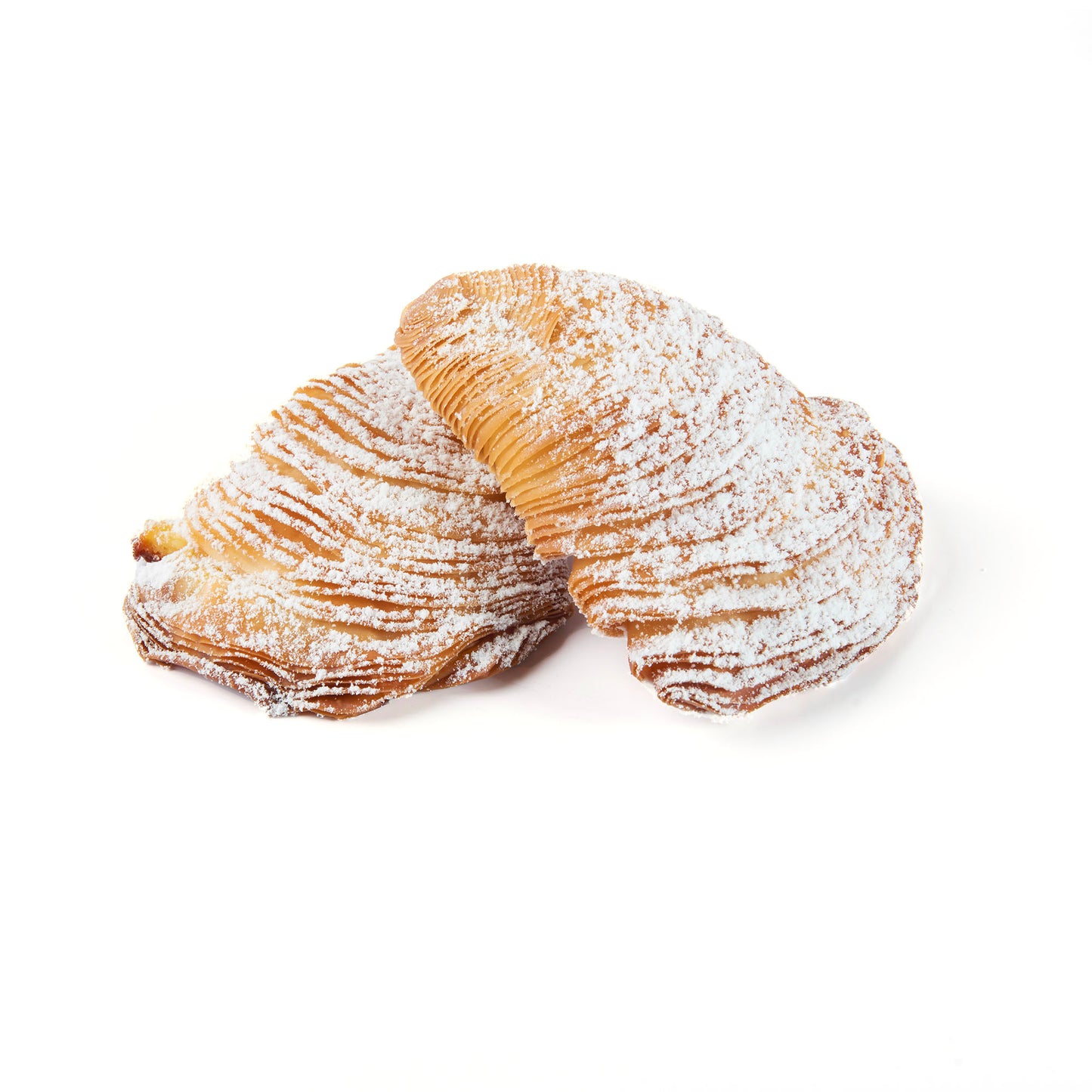 Large Sfogliatelle Napoletane