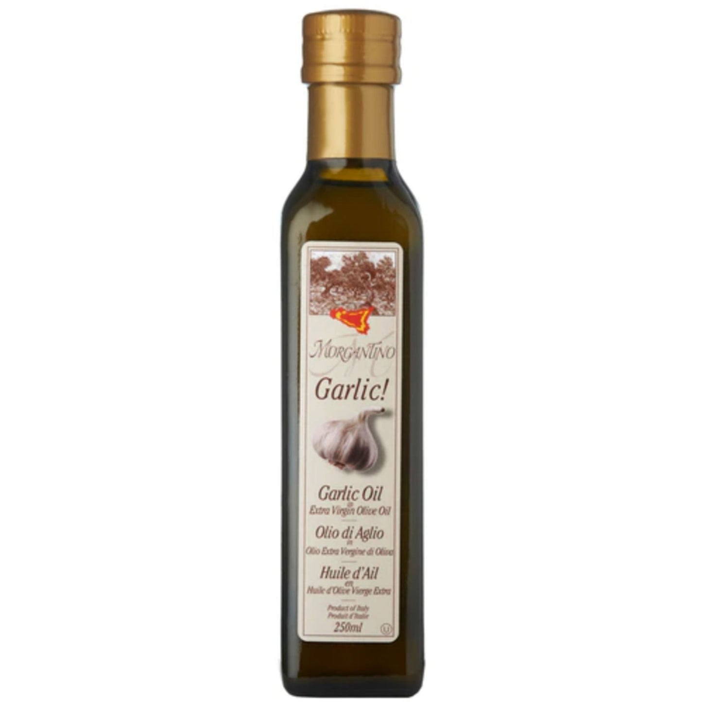 Morgantino Evoo