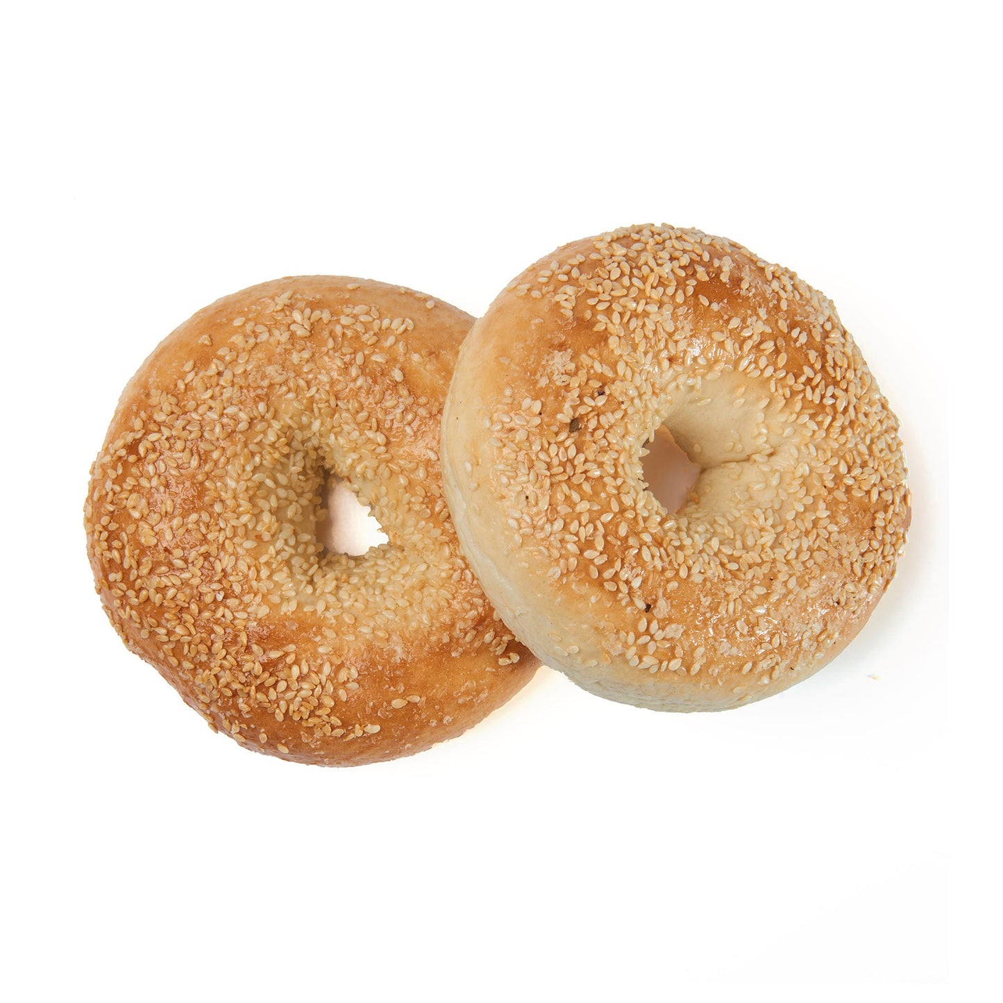 Sesame Seed Bagel