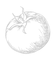 tomato_vector