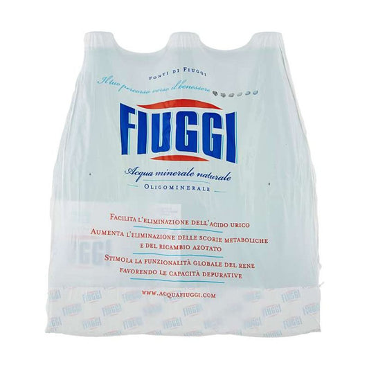 Fiuggi Natural Water 6X1Lt